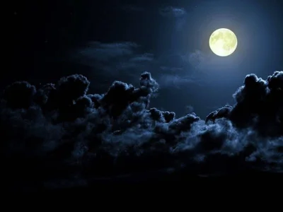 Mackensy_sweett profile