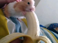 Sexyboy150196's webcam live show