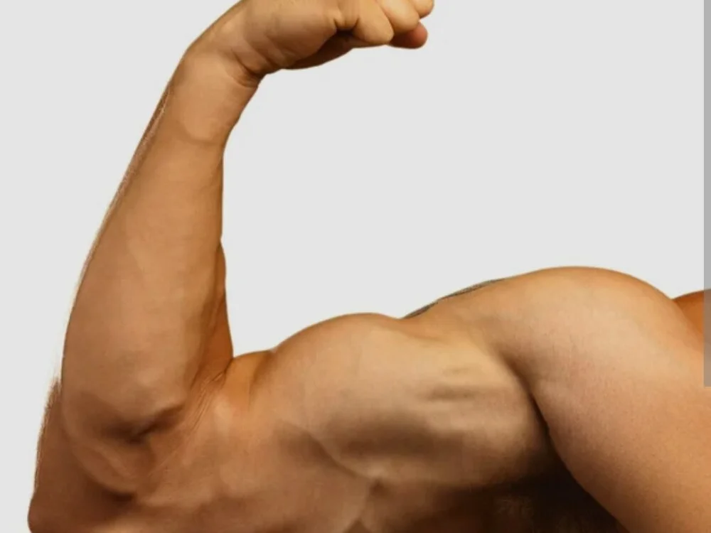 tworubiosXL Offline XXX Chat