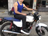 Model Dalton_oficial