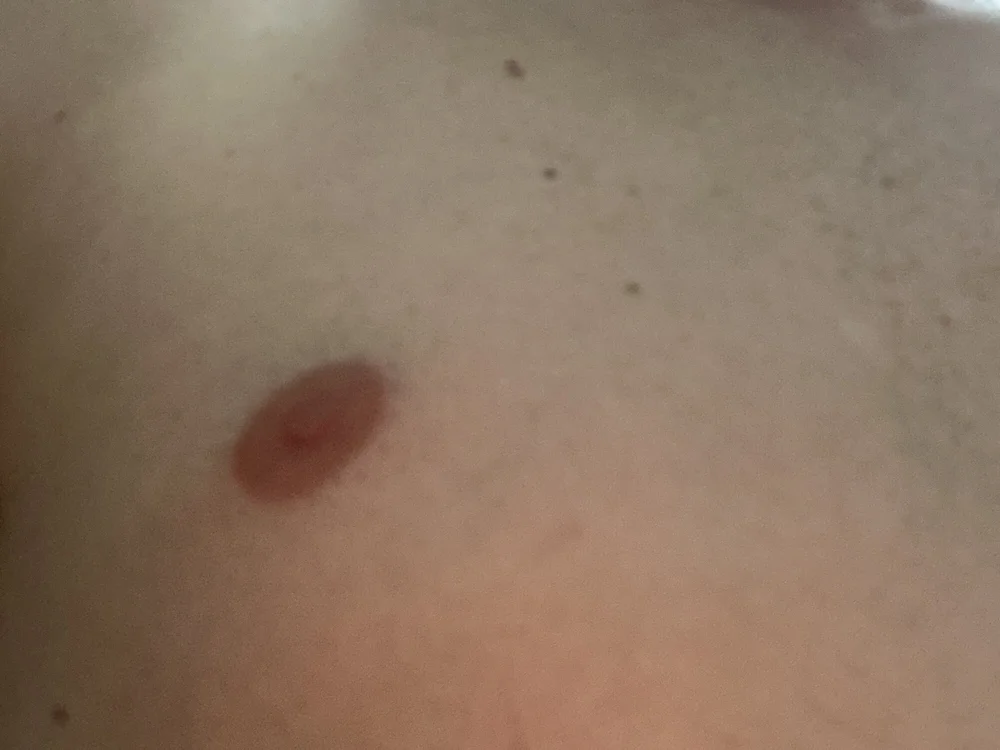 Lucaspereira91 অফলাইন XXX চ্যাট