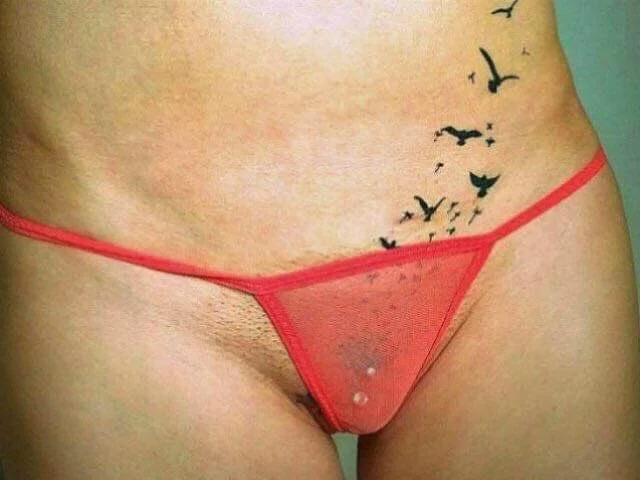 xDavina 离线XXX聊天