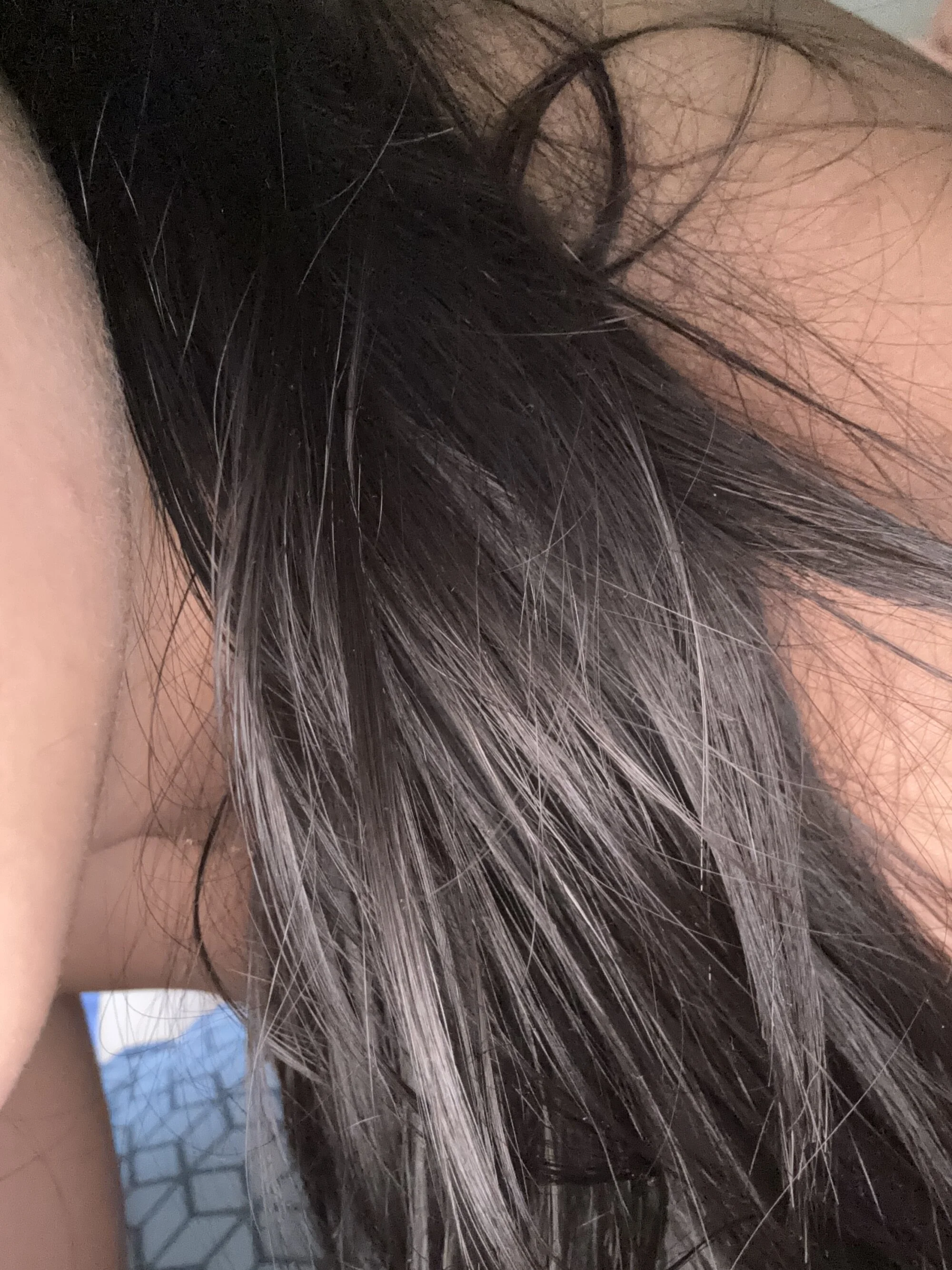 maia_22souZa