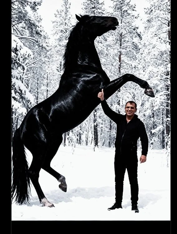 I_amJuustin offline XXX-chat