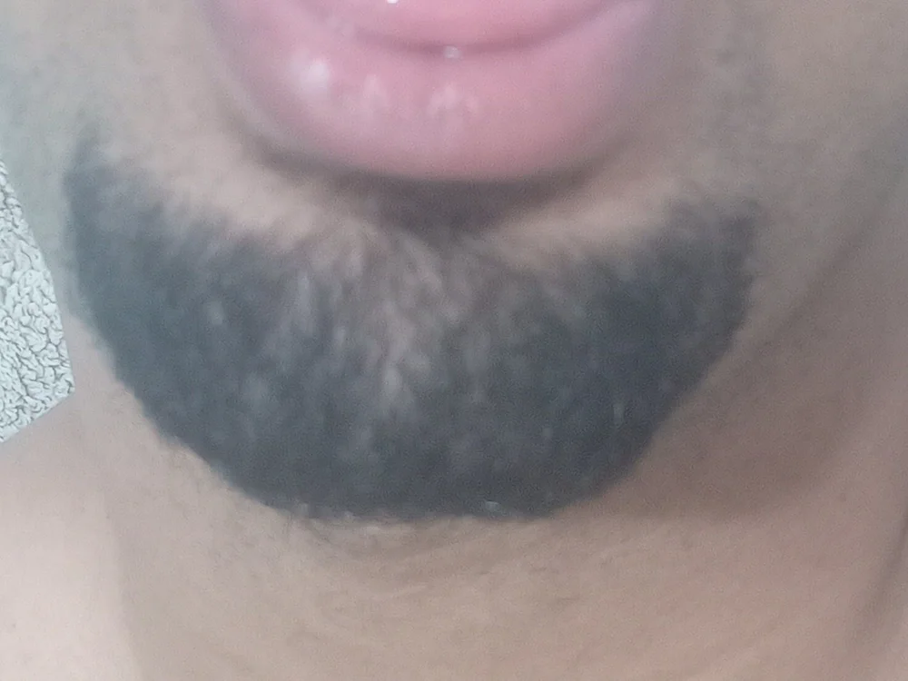 Chat XXX offline de Palgr0sso