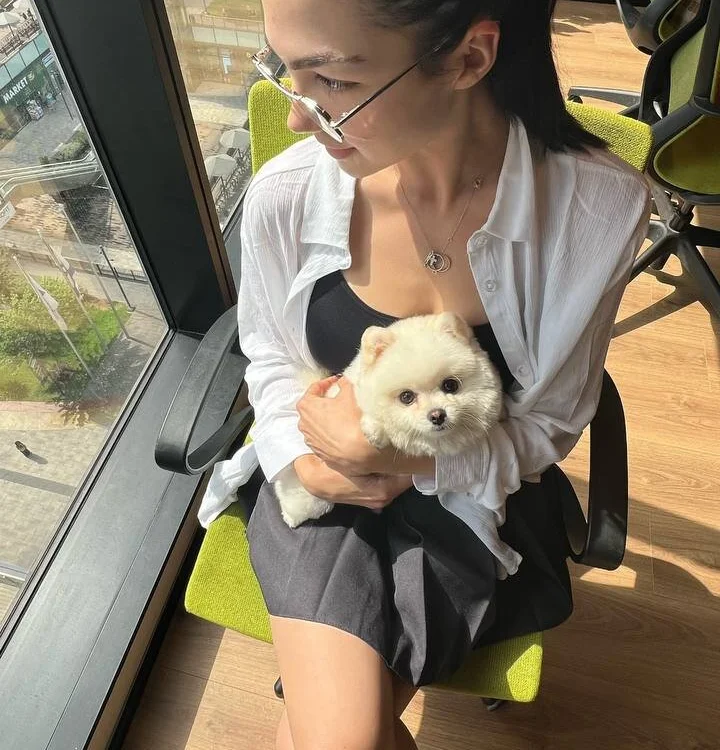 You_wild_plan Chat XXX Ngoại tuyến