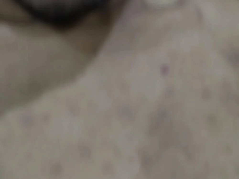 Rohan_200219 Adlı Modelin Çevrimdışı XXX Sohbeti