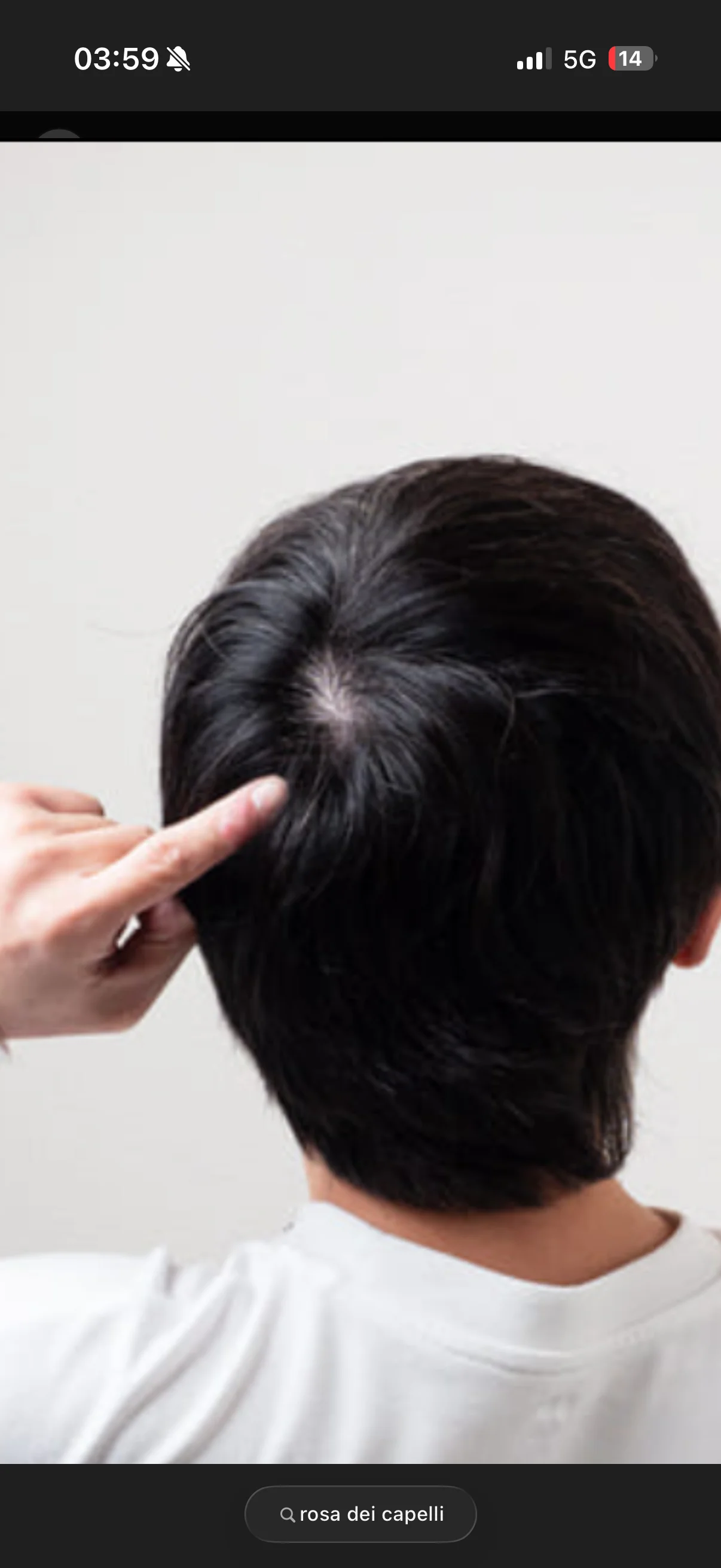 elpocoloco42 live webcam