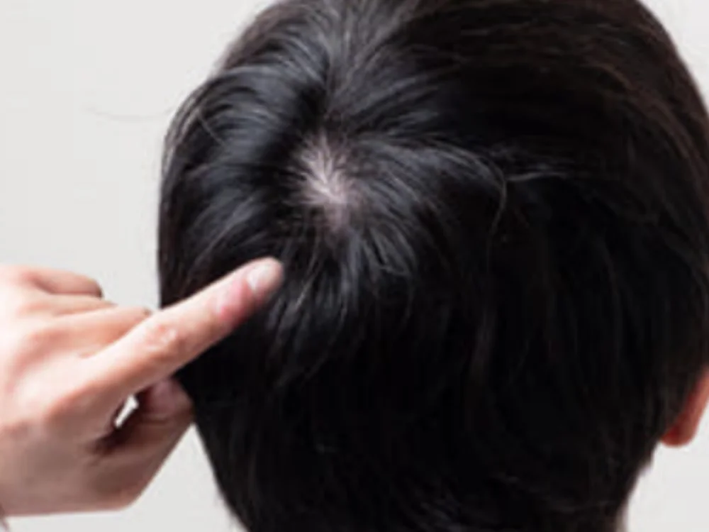 elpocoloco42 離線 XXX 聊天