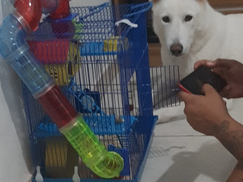 Offline chatovací místnost Siilva02