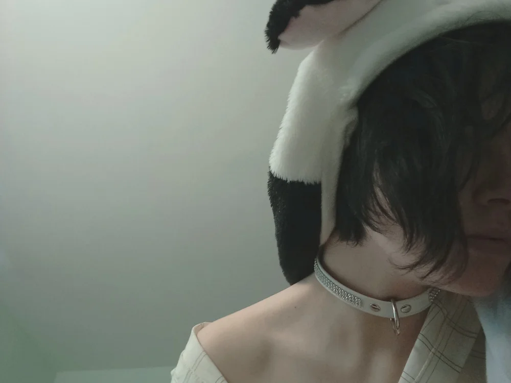 _Constellation_'s Offline Chat Room