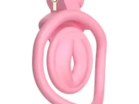 Penndine