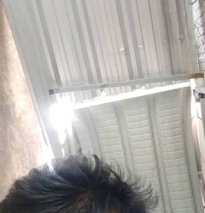 nadhhd's Offline XXX Chat