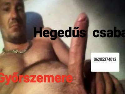 Profile of hegeduscsab