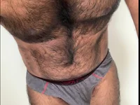 Модель sundar1988cse