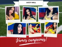 Model liccy_hall