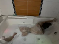 Онлайн чат XXX j_lovee