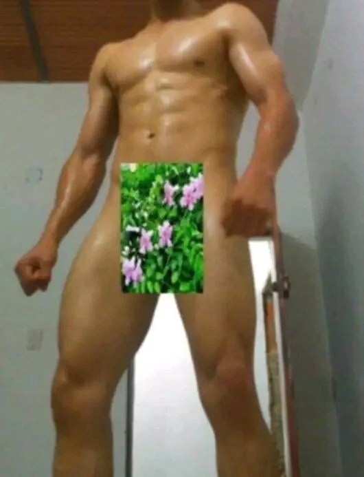 escanor95077 Offline XXX Chat