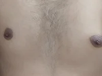 ya_sh11 webcam