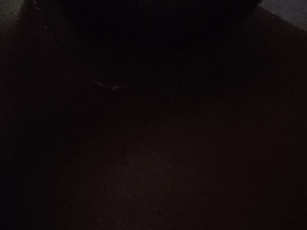 singh11591's most recent online preview