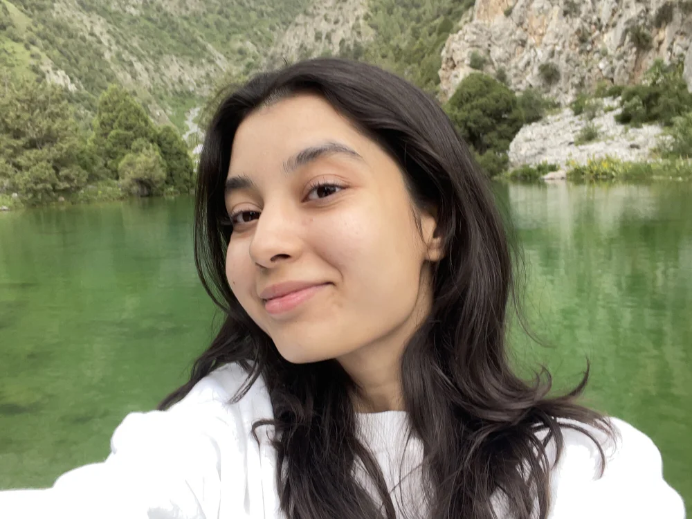 VeronaAven offline chatrum