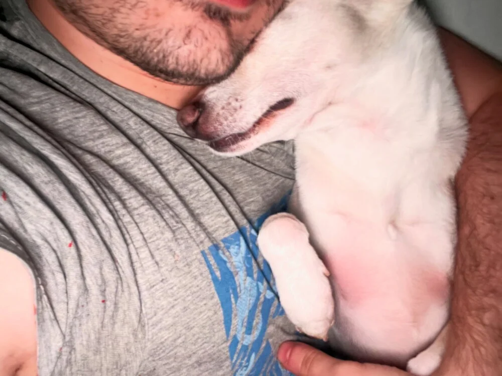 Alexalbert's Offline XXX Chat