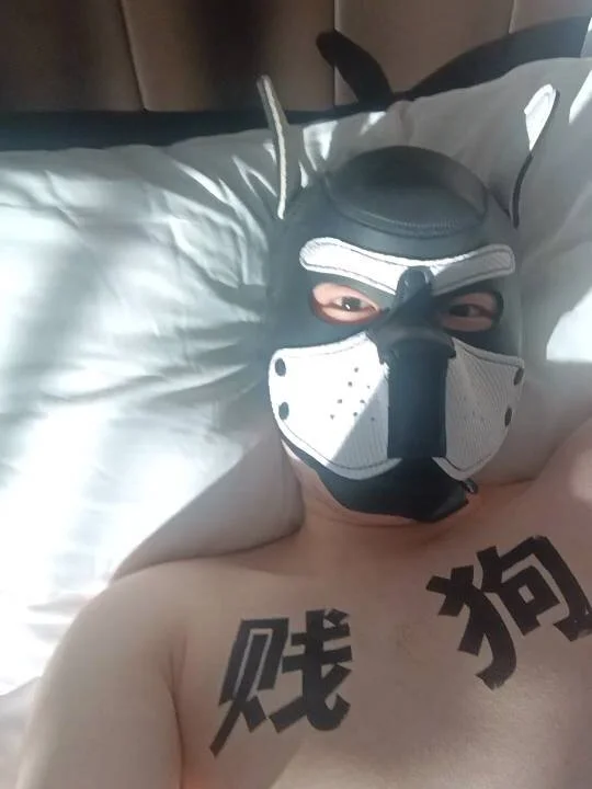 eyhudh182897 – Offline XXX chat