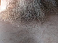 Model sizableunicorn7