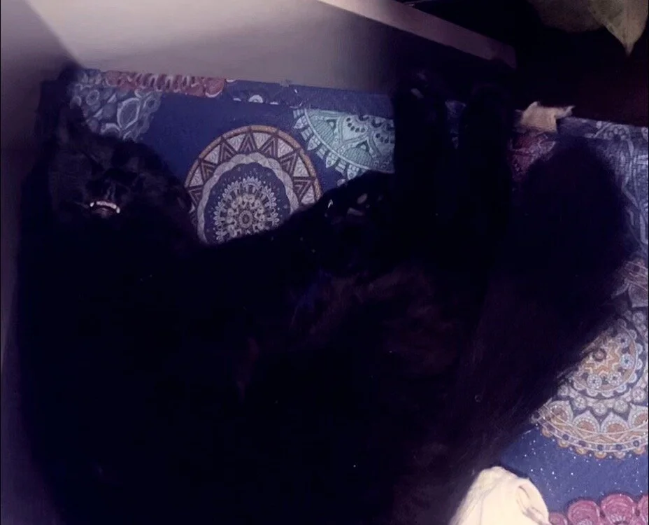 ห้องแชทออฟไลน์ของ sapaslovss