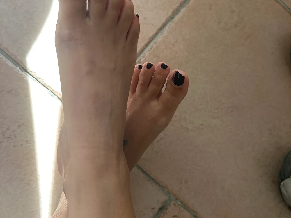 LoLiTa84