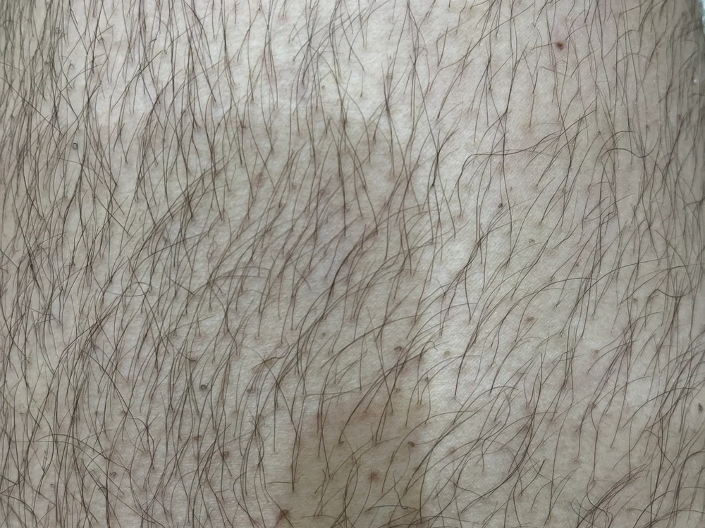 Offline XXX chat modela plexr