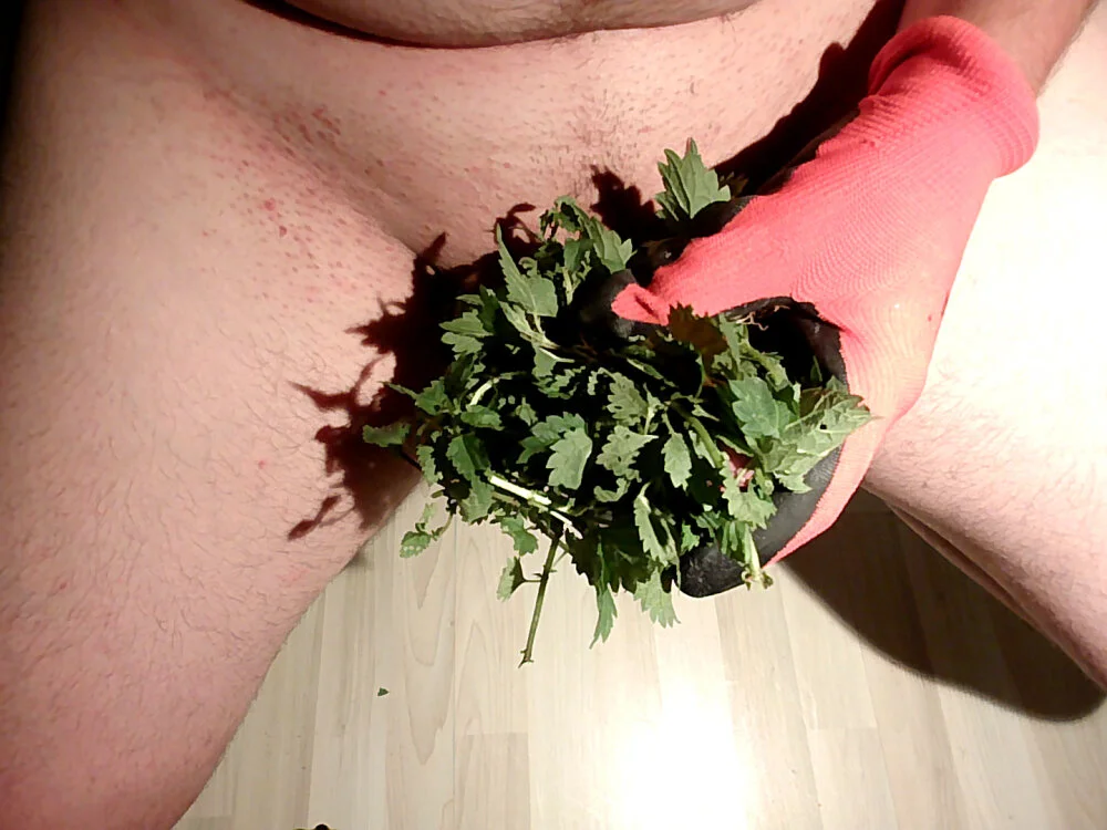 Chat XXX offline de wezmnie12334