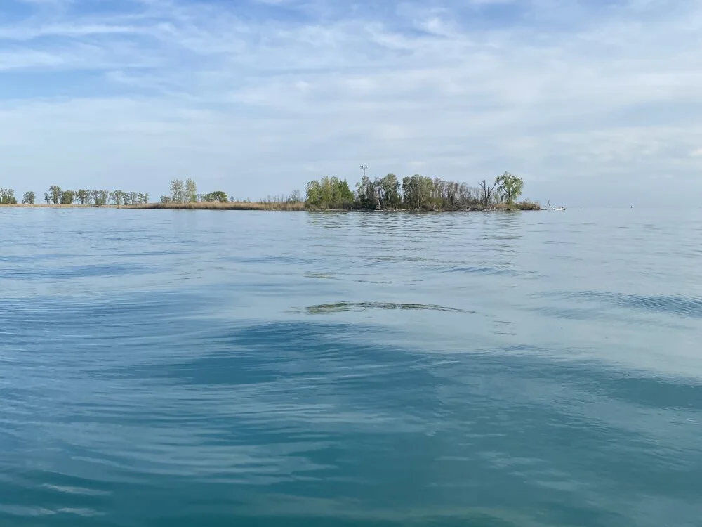 Offline XXX chat DAJ4002