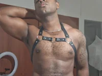 Модель Hector-black