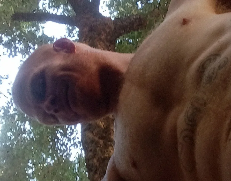 ed31devall's Offline XXX Chat