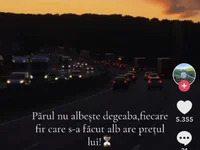 nimenialtul01
