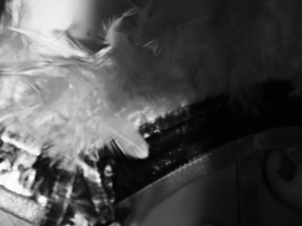 lachina23 Chat XXX offline