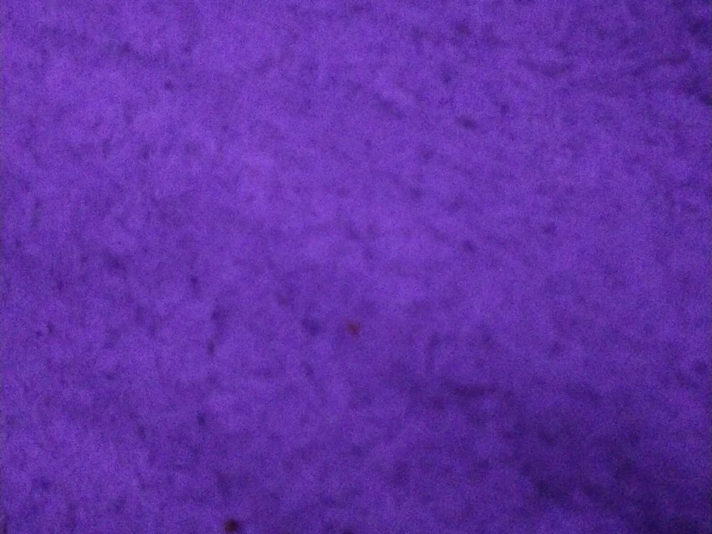 Dilolo60's most recent online preview