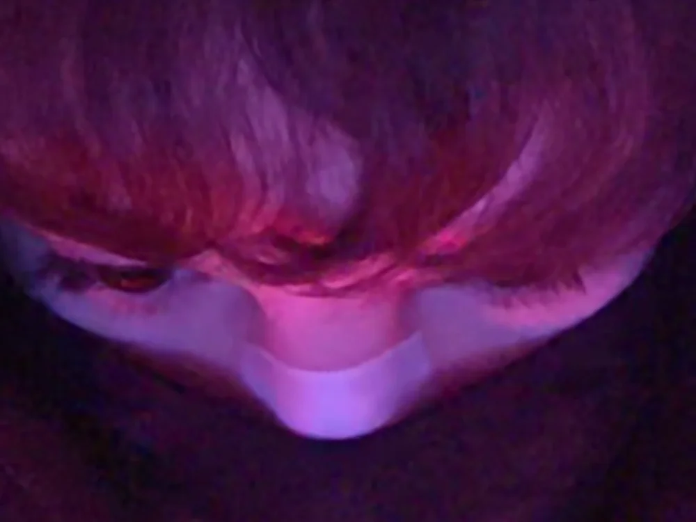 RaccooIsHere Offline XXX-Chat