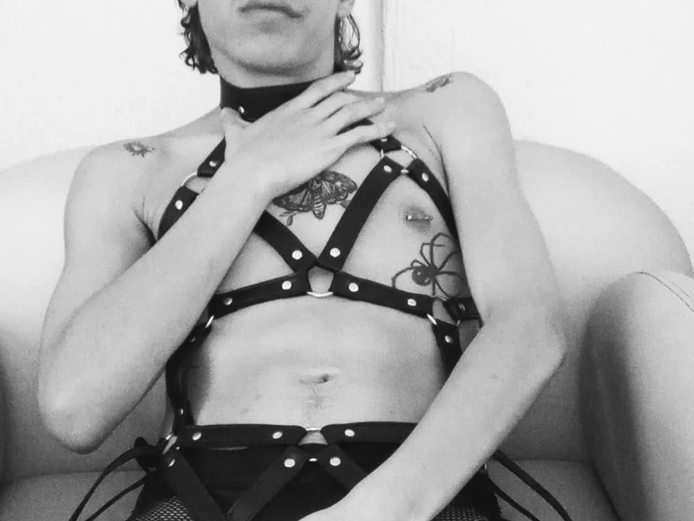 Bennet-Grayy cam model