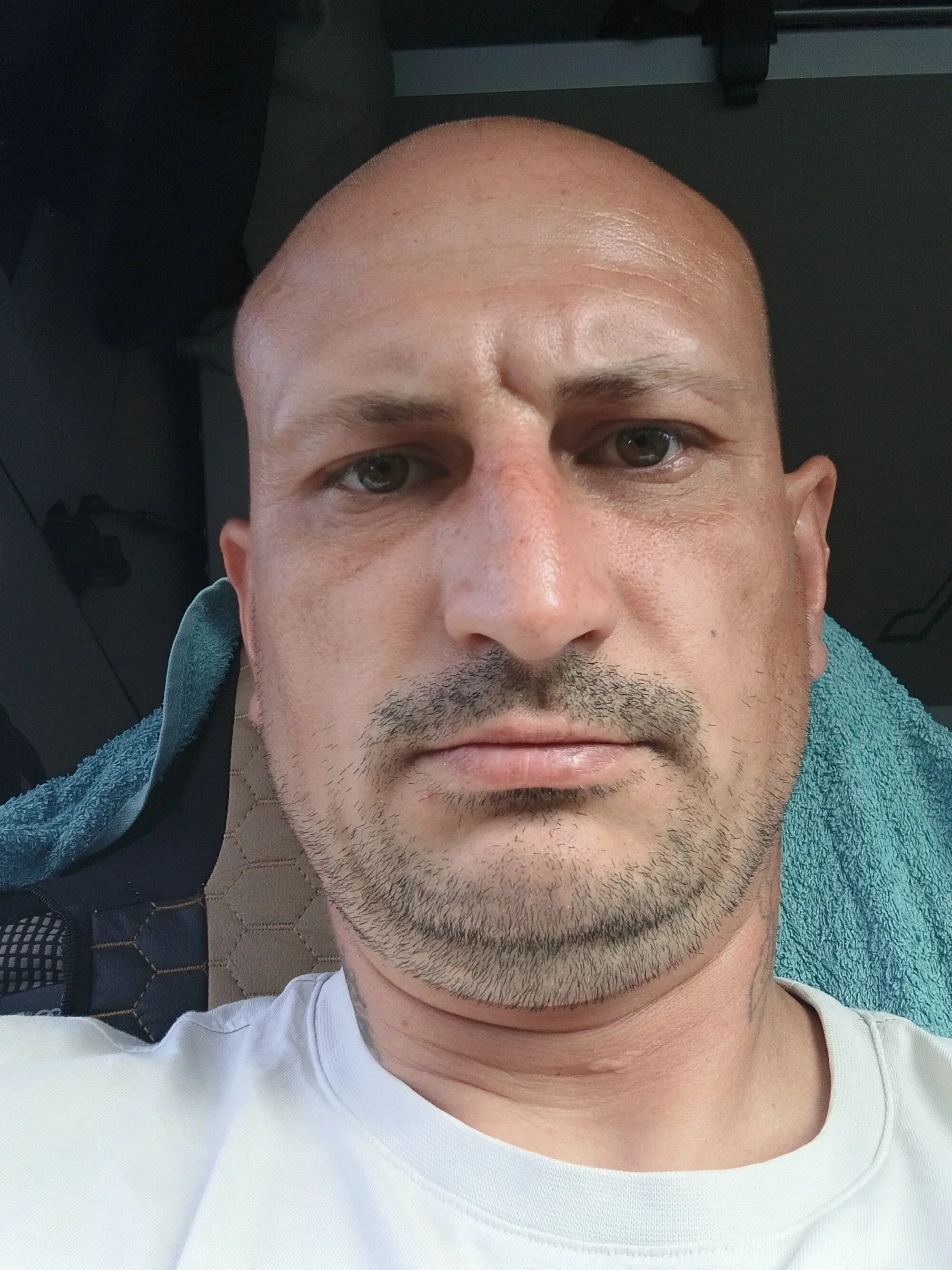 Aligator_90