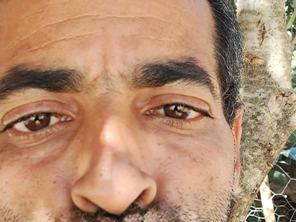 Chat XXX offline de ramdhanov