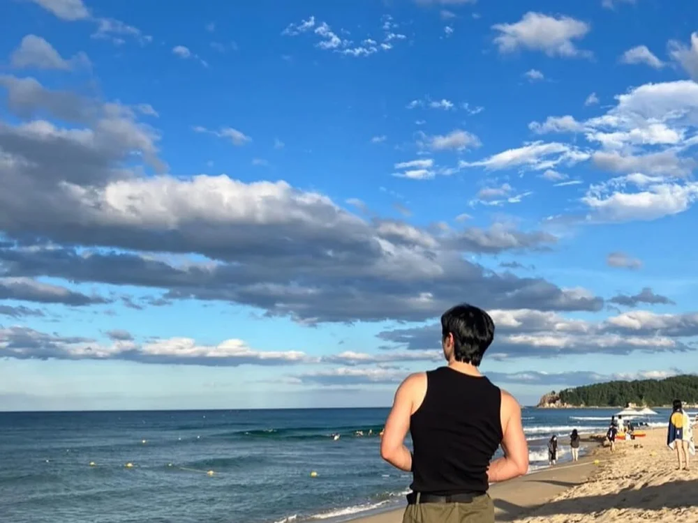 Wolfdickkk 오프라인 XXX 채팅
