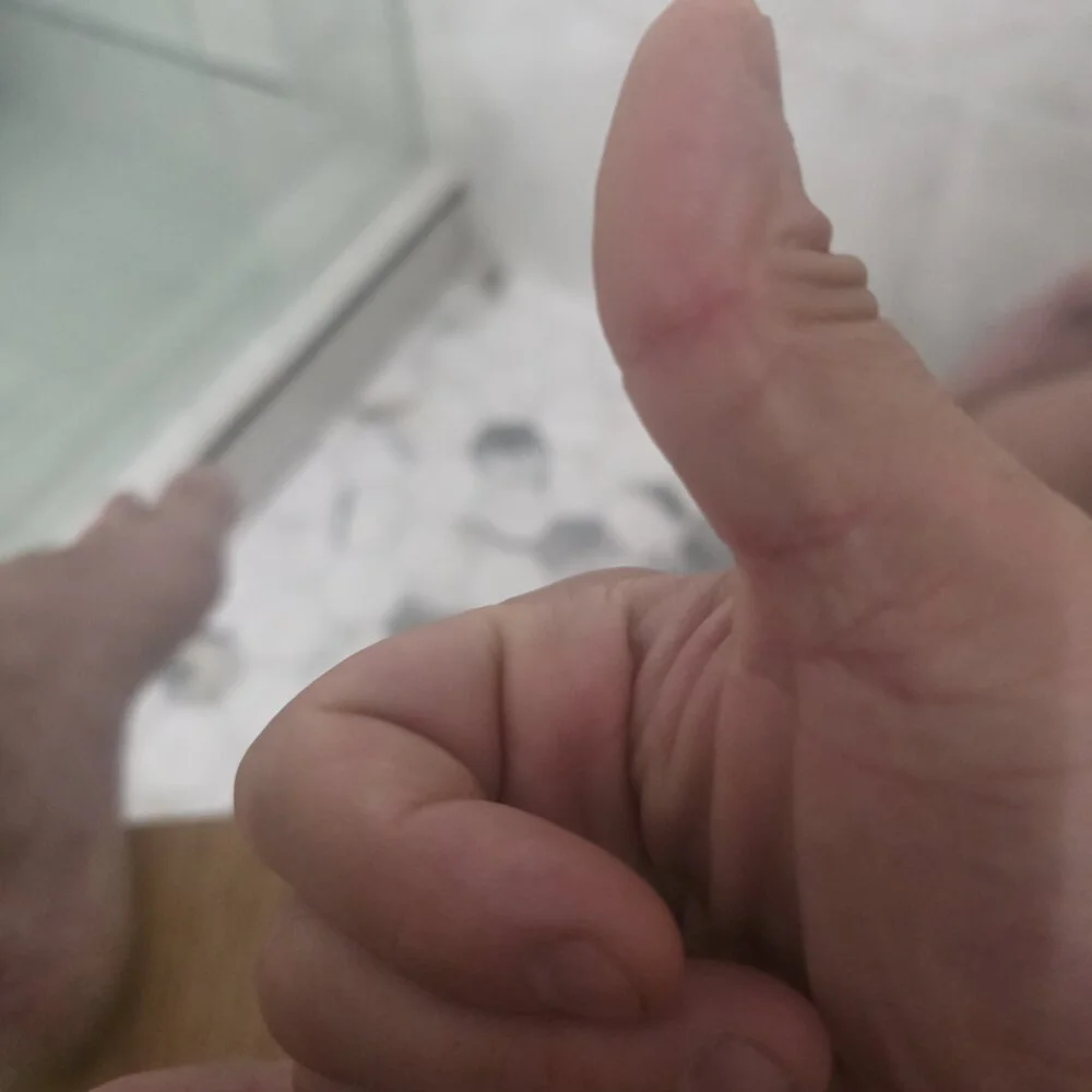 likingassallday live webcam