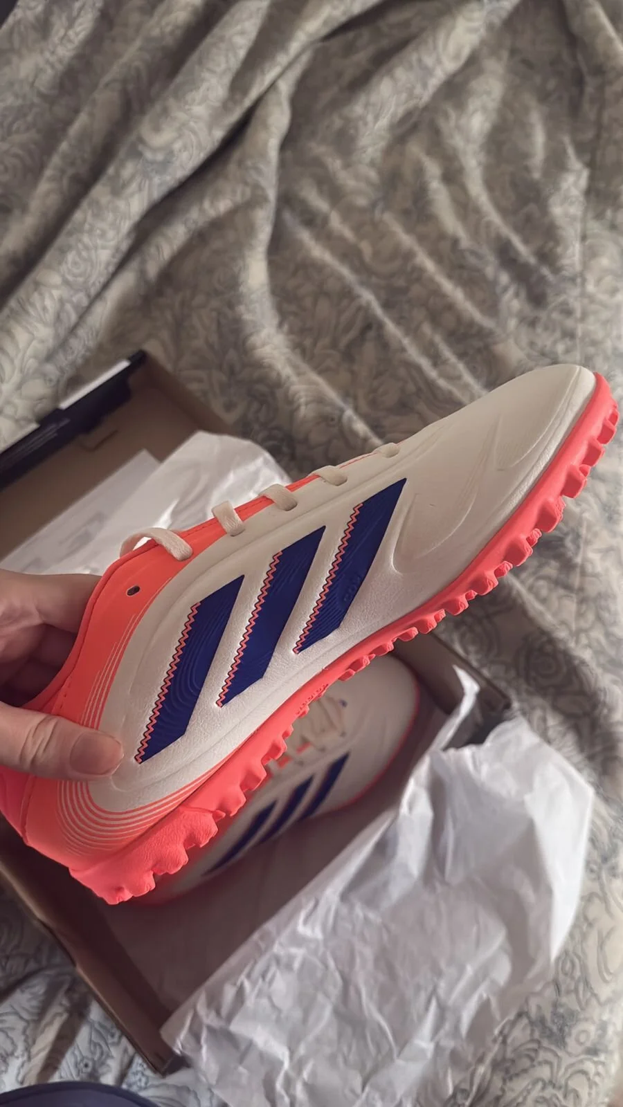 carlaxxxale