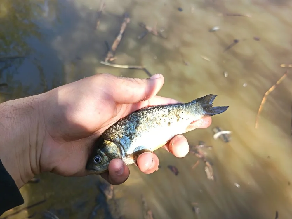 bufnita22's Offline XXX Chat