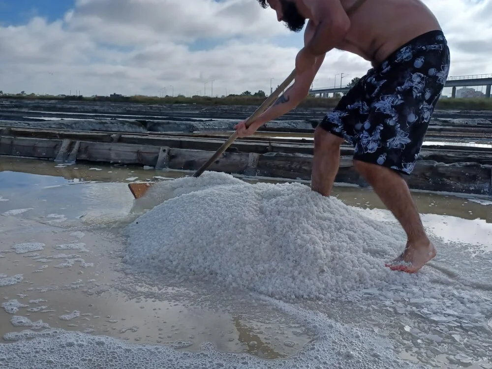 Chat XXX offline de PNines