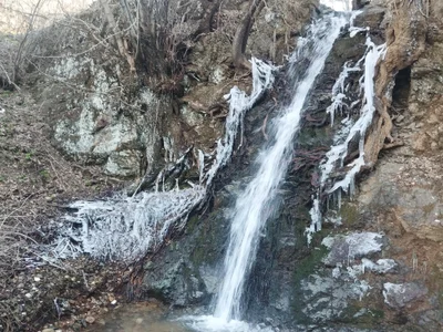 kimsesizgenc