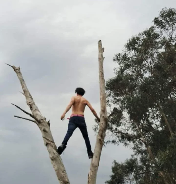 wolfmodels69's Offline Chat Room