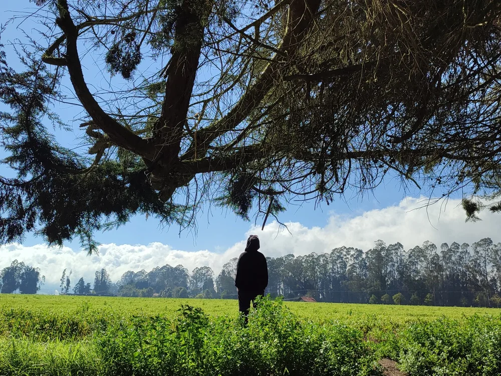 Findiryts Offline XXX Chat